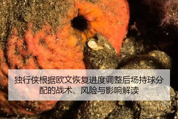 独行侠根据欧文恢复进度调整后场持球分配的战术、风险与影响解读